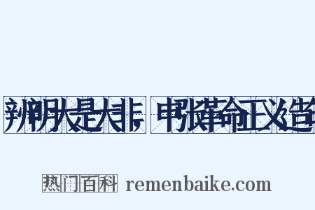 辨明大是大非，申张革命正义造句是什么意思的图片